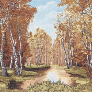 Paesaggio bosco autunnale